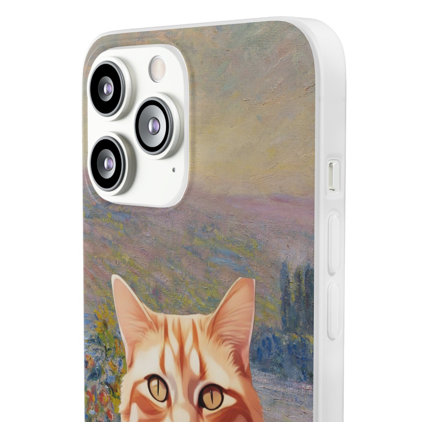 Cat Case 2